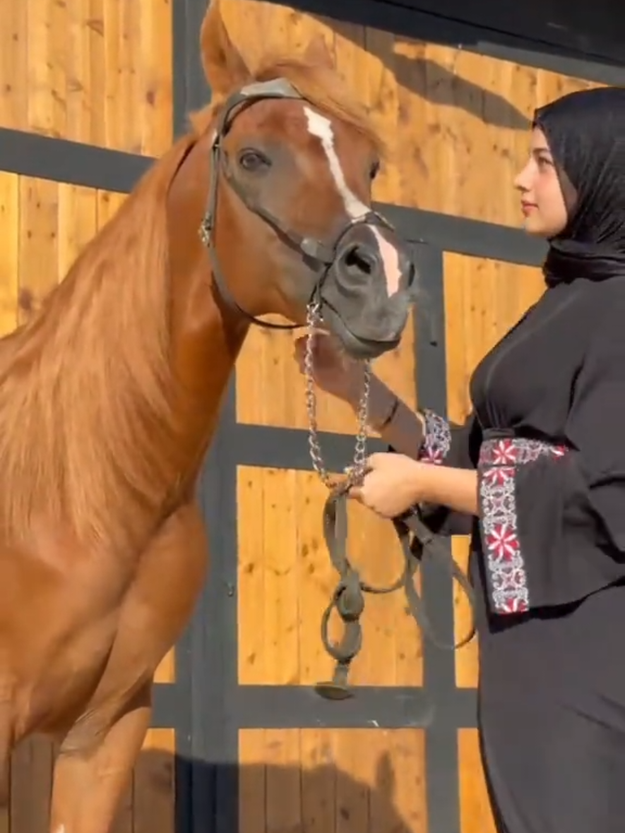 #خيل_وخياله🐎 #foryou @ARMANI HORSE CLUB 