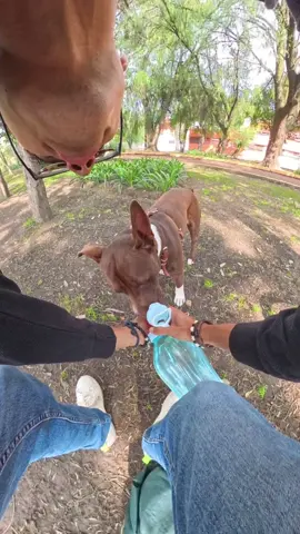#chocolaterick #insta360 