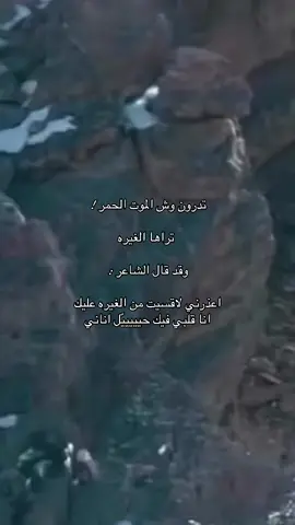 🪶🪶 #قصيده_شعر_بوح_خواطر 