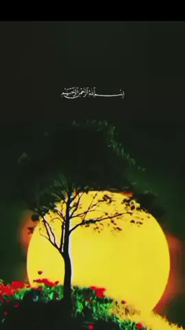#سورة مريم كاملة#تلاوة_خاشعة#قران_كريم# ارح_سمعك_وقلبك❤️🌿 
