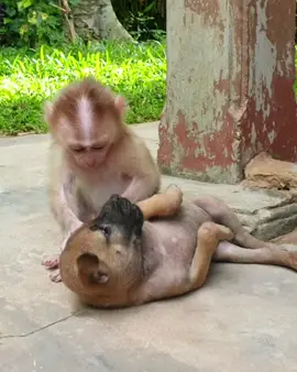 Best friend ❤️😄#animals #pet #drblack 