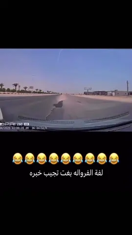 #لفة_الفراوله # #السعودية🇸🇦 