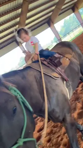 She’ll be a hard one to keep up with soon!! #fyp #arenasvlog #raisingcowgirls #ropehorses #longlivecowgirls 