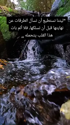 #متابعين_50000k_هاشتاك،، 
