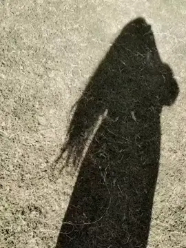 انا بنيه ما تمتلك عدة وجيه إما تحب بصدق إما تعادي 🥀#مساعدالرشيدي #شيلات 