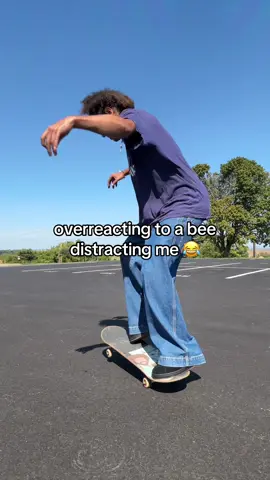 bee was trying to skate with me 