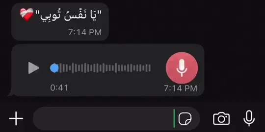يا نفس توبي ❤️‍🩹#قران #قران_كريم #foryou #fyp #توبه 