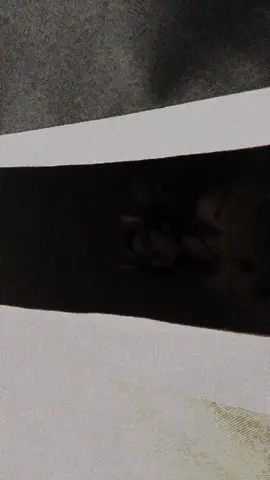 Hide