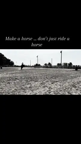 #snootysperformancehorses 