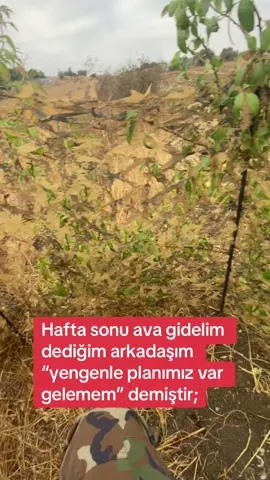 Racon bitmiştir #avcılıkhayattır #üveyik #tiktokviral #keşfet #Racon 