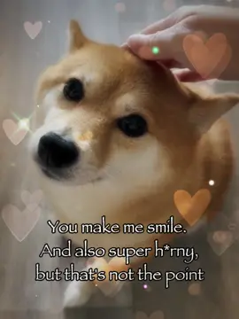 You make me smile and also…😉😉#rizz #dogtok #relatable #fyp 