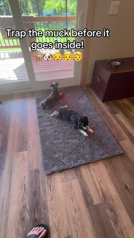 “Your dog thinks mud is a fashion statement. Your grandkids think dirt belongs in the living room. Don’t fight it—outsmart it. The muddy mats trap the mess before it walks all over your floors. Warning: May cause spontaneous sighs of relief and floors so clean you’ll forget you live with mud enthusiasts. #mess #muddydog #muddymat #kidsbelike #farmlife 
