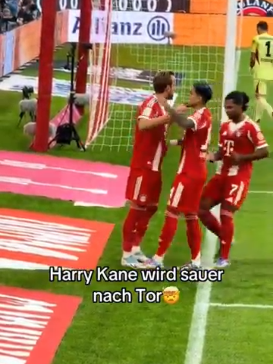 Harry Kane pelanty goal today Bayern Munich vs Hamburger SV #bayernmunich #bundesliga #futboltiktok #Soccer #fyp 