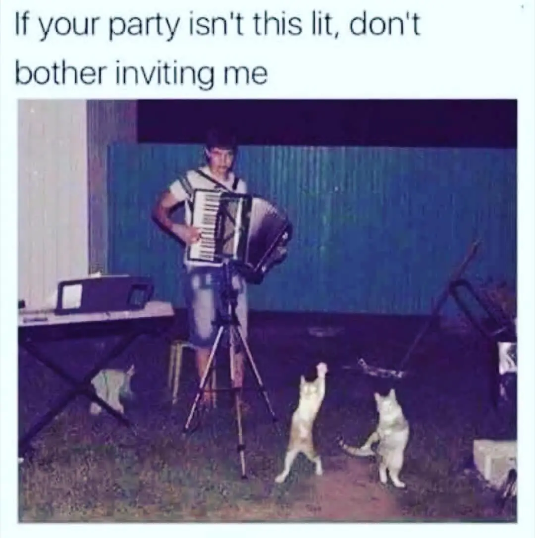 DEFINITELY a post Eclipse Party, right? #eclipse #vibes #energies #astrology #zodiac #empath #partyon #memes #meme