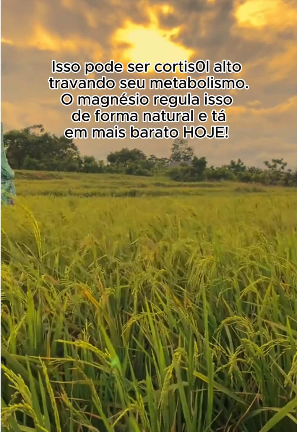 #magnesio #magnesioinositol #cortisolelevado #cortisol #saude 
