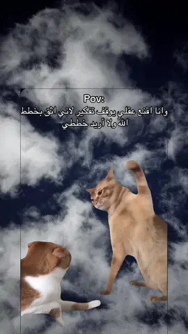 #CapCut #islam #muslim #fyppppppppppppppppppppppp #muslimtiktok 