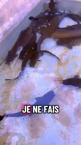 Je suis fière de mon travail #fermier 