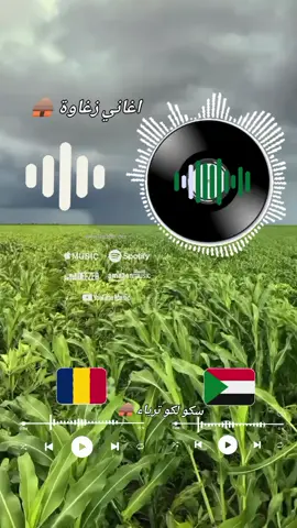 #أغاني_زغاوة_ #تراث_زغاوة_بري_بور_بردة_تلي_حول_العالم🌏 