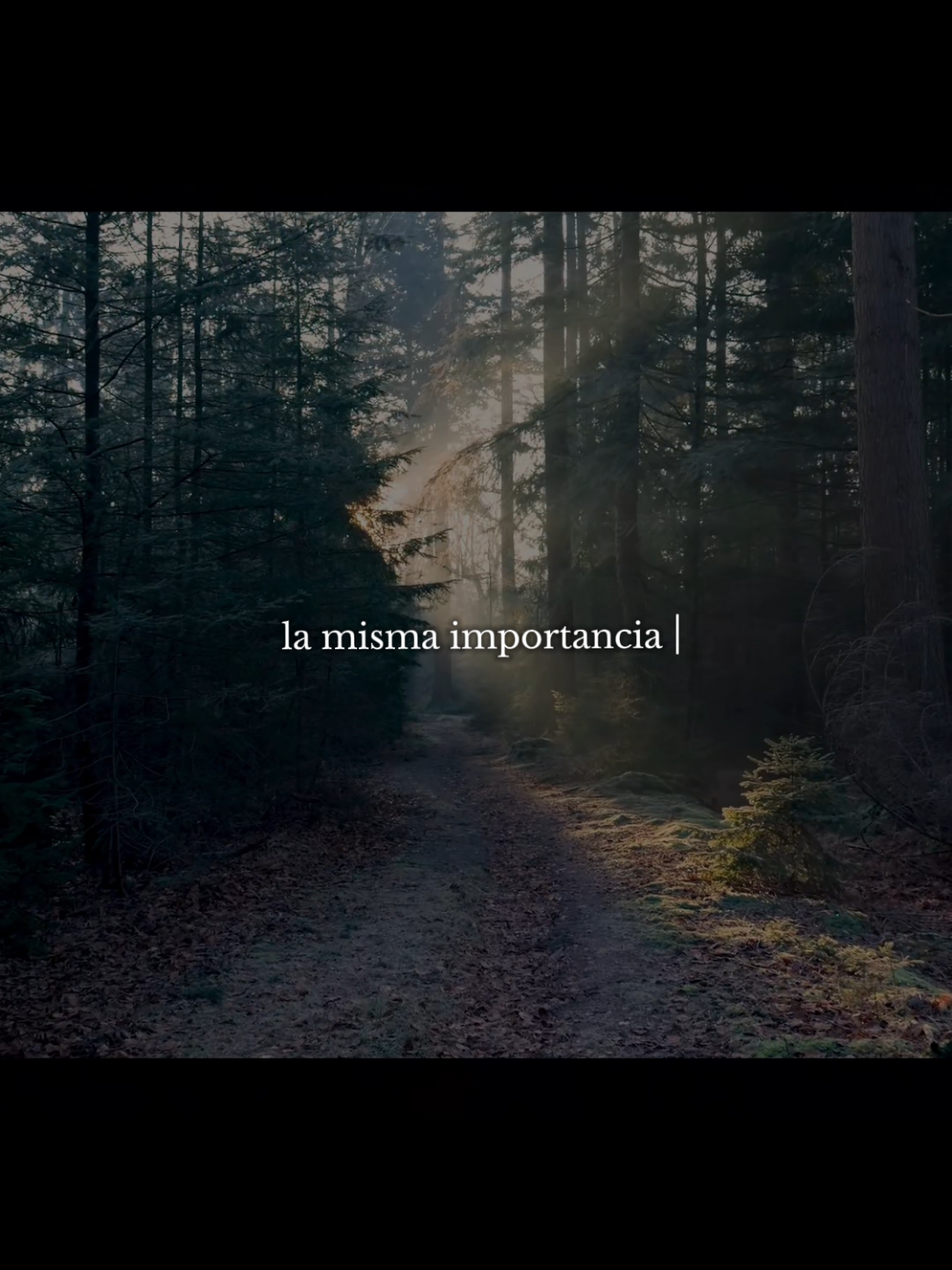 #reflexion #discipline #MOTIVACION #frases 