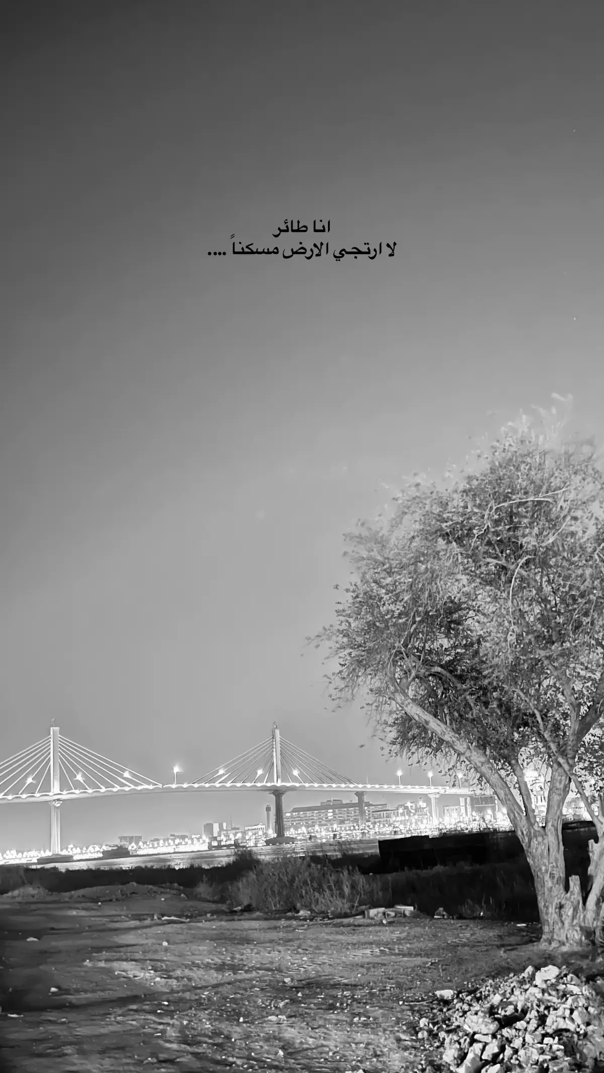 #iraq #basra 