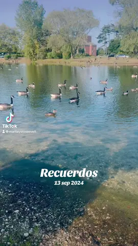 #Recuerdos 