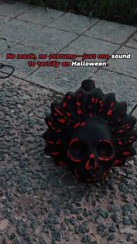 #parsin #tiktok #tiktokshop #tiktokviral #tiktokmademebuyit #fyp #prank #scary #deathwhistle #aztec 