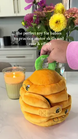 when you find the perfect first birthday present for your niece who loves bees 🐝🥰 #babytoys #montessoritoys #montessoribaby #firstbirthdaygift #tiktokshopfinds 
