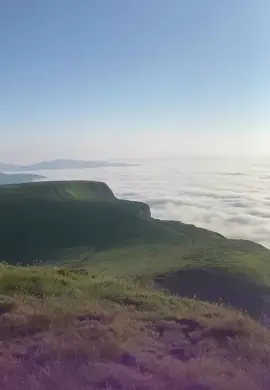 Неймовірна краса Карпат 😍 Драгобрат з висоти Жандармів відкриває чарівний краєвид на гори Близниці та озеро Івор 💙 #драгобрат #карпати #озеро #гори #закарпаття 