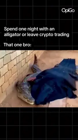 #crypto #cryptocurrency #bitcoin #memecoins #cryptotrading 