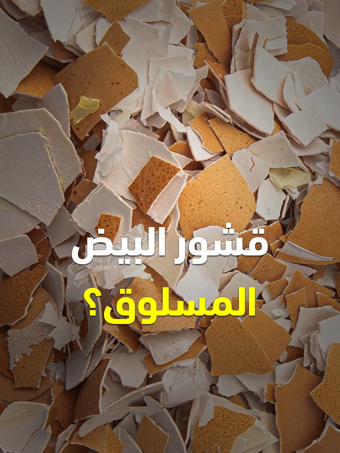 تناول هذه الأطعمة وأدعم صحتك – معلومات صحية مهمه – فوائد #البيض #ماء #معلومات #كمون #بصل #بطاطس #وصفة #وصفات #قناة_الوصفات_الزوجية #فوائد #صحة #infoburst #طعام