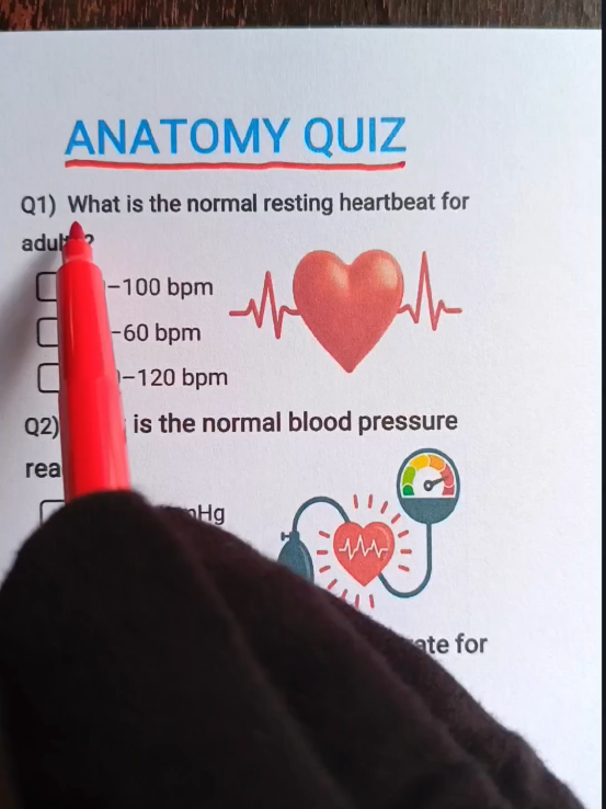 Anatomy Quiz - Can you get 6/7? #anatomy #humanbody #quiz #quiztime #trivia 