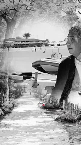#ماجد_الكدواني #المسامحة_ليست_ضعف #الصفحة_ترحب_بالعقول_الراقية✍️📚🖤 #تعلم_على_التيك_توك 