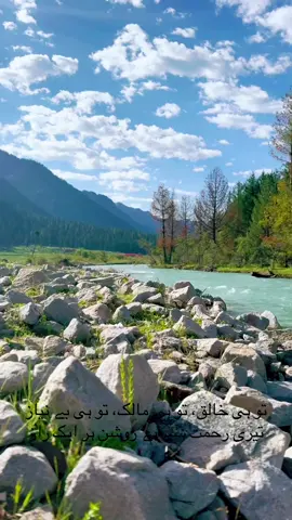 #fyp #friend #kumrat_valley #mountains #pakistan 