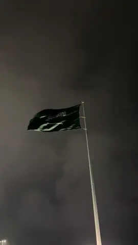 #اليوم_الوطني_السعودي_95_🇸🇦⚔️ #ksa #علم #السعودية 