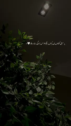 🌸💔_.    | #beee70 #fyp #fypシ #foryou #urdupoetry 