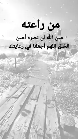 #مقتبسات من الحياة. من راعته عين الله لن تضره أعين الخلق اللهم أجعلنا في رعايتك#كلمات_من_القلب #اكسبلورexplore #ypシ 
