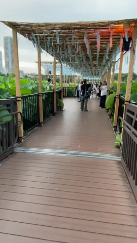 Japón tiene un sonido especial 🌸🇯🇵🪷 #uenopark #tokyo #japan #japon #ueno 