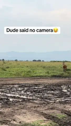 His reaction was unexpected 😂#creatorsearchinsights 