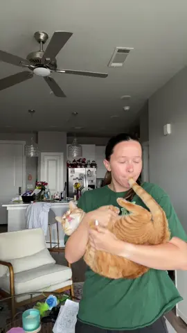 I actually hated this more than him #bagpipes #cats 