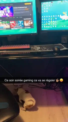 #gaming #dog #nasdas 