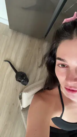 black cat trauma 