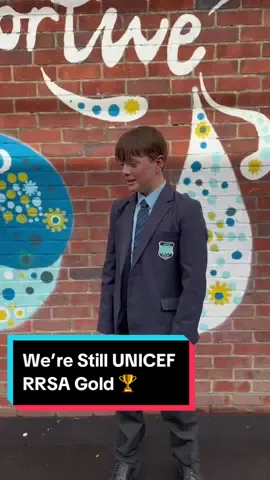 WE’RE STILL GOLD!!🏆🌍 The Governors, Headteacher, staff and students at Bourne Community College are delighted to have been reaccredited with this prestigious award by UNICEF, a leading organisation supporting children and their rights across the world. It supports schools across the UK to embed human rights in their ethos and culture. The award recognises achievement in putting the UNCRC (United Nations Convention of the Rights of the Child) at the heart of the schools practice to improve well-being and help all children realise their potential and to be responsible, active citizens. UNICEF #RightsRespectingSchool #UNICEF #EveryChild #WestSussex #Hampshire