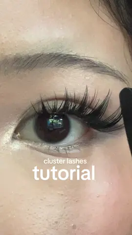#okaylove #lashclusters #fyp