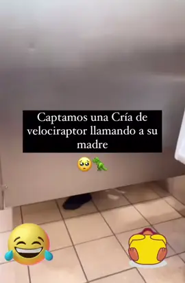 Captamos una Cría de velociraptor llamando a su madre.#parati #fypシ #foryou #viralvideo #fyp 