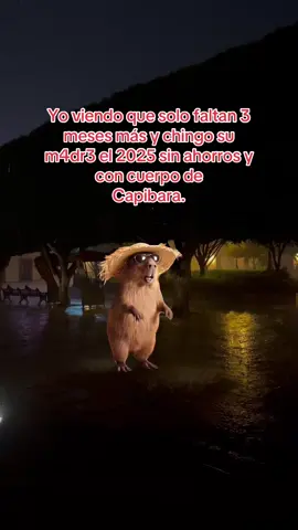 #MemeCut #capibara #2025 #😝 #septiembre 