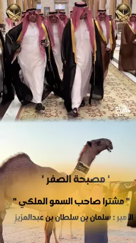 #ترند#اكسبلور#صباحه#الصفر#السعودية#ال_سعود 