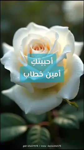 يا شيء عجز اللسان عن وصفه Beyond words, I can’t describe you يا لحن عجز وتر الوريد عن عزفه A melody my veins can’t play through يا آية من السماء مثل المطر A sign from heaven, falling like rain يا ساهرة تضيئي ليلي يا قمر Moonlight awake, easing my pain أحببتك وصرتِ وحدك تملكي I loved you, and you alone came to own عقلي وقلبي واتفقوا على حبكِ My heart and mind in love collide #أحببتك #ilovedyou #امين_خطاب  #ameenkhattab #drkhalil1978  @ameen H khattab🚂 