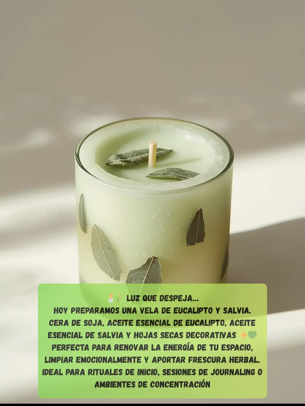 Eucalipto y salvia: frescura herbal y equilibrio emocional. Perfecta para rituales de inicio, espacios de concentración o momentos de claridad. 📣 ¿Te gusta transformar tu ambiente con aroma y luz? Comenta y síguenos para más alquimia emocional ✨ #hechoconamor  #velashandmade #velasartesanales  #velasaromaticas #candlemaker #velasdecorativas #jabonesartesanales  #soaplove #emprendimientocreativo  #velasartesanais  #handmadewithlove  #cursodevelas #emprenderdesdecasa 