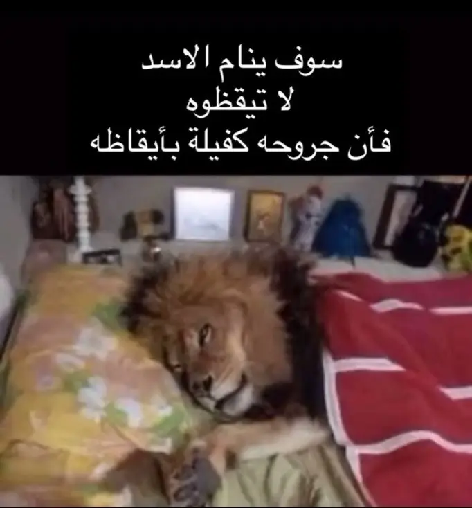 الله يقلعك يا كاستيليس والله يقلعك بالقادسية #الهلال #الهلال_القادسية #هواجيس 