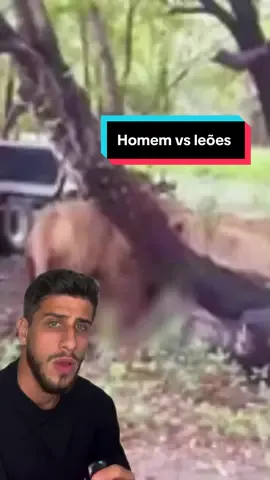 Homem é surpreendido por leão na Tailândia 😔 📄:https://nypost.com/2025/09/10/world-news/lions-eat-zookeeper-alive-in-horrific-attack-filmed-by-tourists/ 📄:https://www.nbcnews.com/world/asia/zookeeper-thailand-dies-attacked-lions-front-visitors-rcna230530 sjc: ok #leão #tailândia #biologia #ciência        